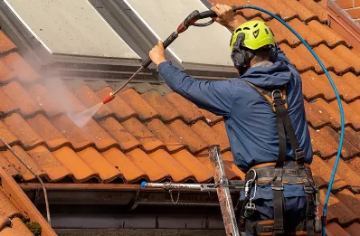 Démoussage et hydrofuge de toiture à la Rochette